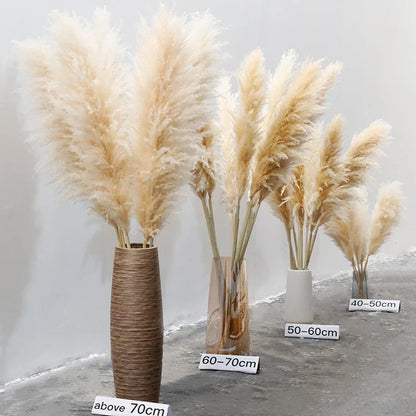 Faux Pampas Grass Stems Natural Beige 10-Pack Boho Decor for Living Room Bedroom Wedding Events Fluffy Reed Bundle Centerpiece