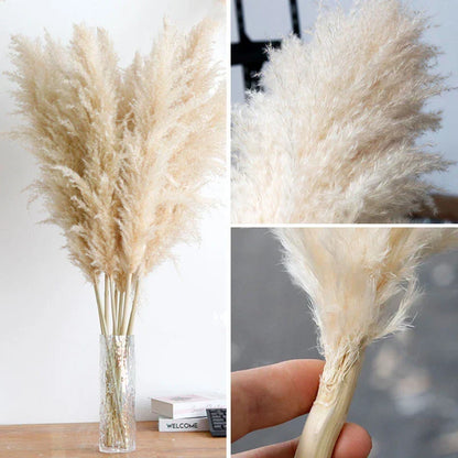 Faux Pampas Grass Stems Natural Beige 10-Pack Boho Decor for Living Room Bedroom Wedding Events Fluffy Reed Bundle Centerpiece