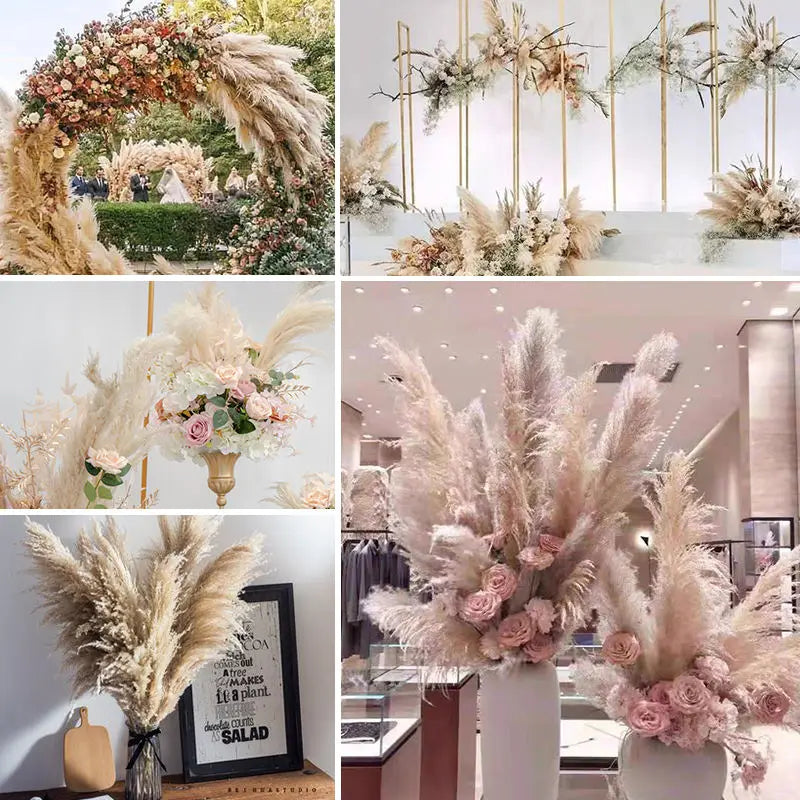 Tallos de hierba de las pampas natural y esponjosa para jarrones | Acentos florales secos de 16-30 pulgadas para decoración de estantes de sala de estar, centros de mesa para eventos, estilo boho