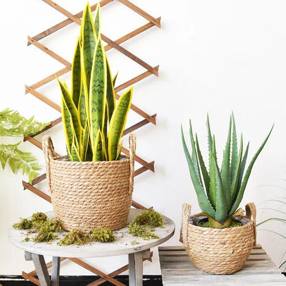 Handwoven Seagrass Basket with Handles for Indoor Plants Outdoor Pots Storage Organizer Natural Fiber Boho Decor Rustic Farmhouse