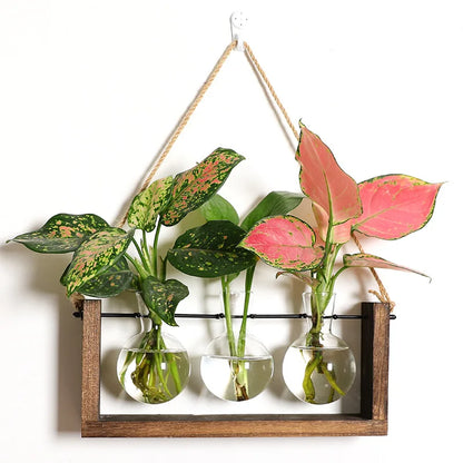Wooden Hydroponic Vase Holder with Glass Tubes for Propagating Cuttings Tabletop Decor Station for Herbs Flowers Succulents Root Development