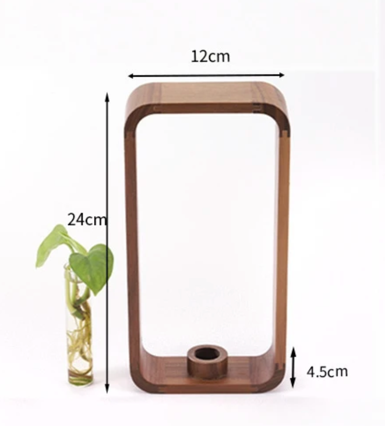 Tabletop Hydroponic Vase for Rooting Cuttings Clear Glass Wood Stand Water Propagation Station Indoor Herb Garden Windowsill Planter