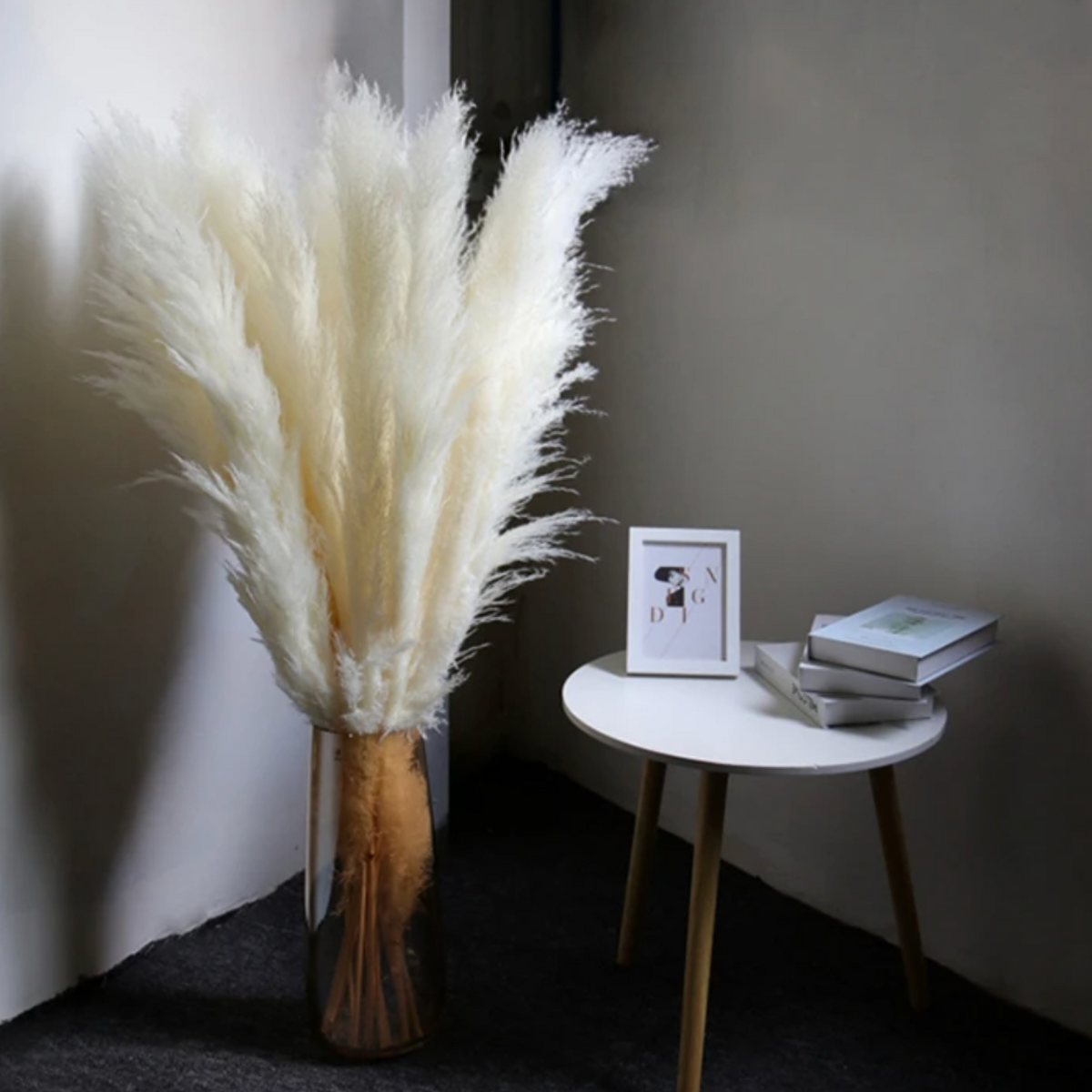 Tallos de hierba de las pampas natural y esponjosa para jarrones | Acentos florales secos de 16-30 pulgadas para decoración de estantes de sala de estar, centros de mesa para eventos, estilo boho