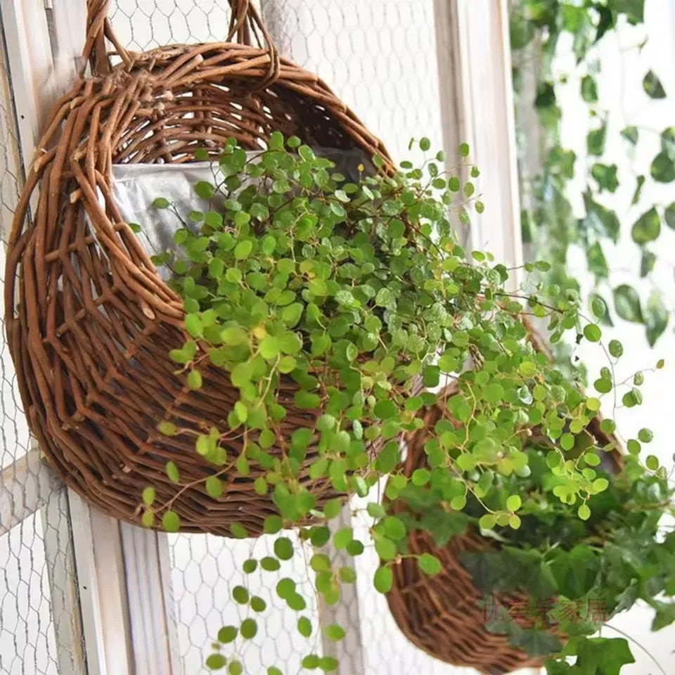 Woven Rattan Wall Basket for Plants Indoor Outdoor Hanging Pot Holder Natural Fiber Planter for Living Room Balcony Patio Garden Decor Boho