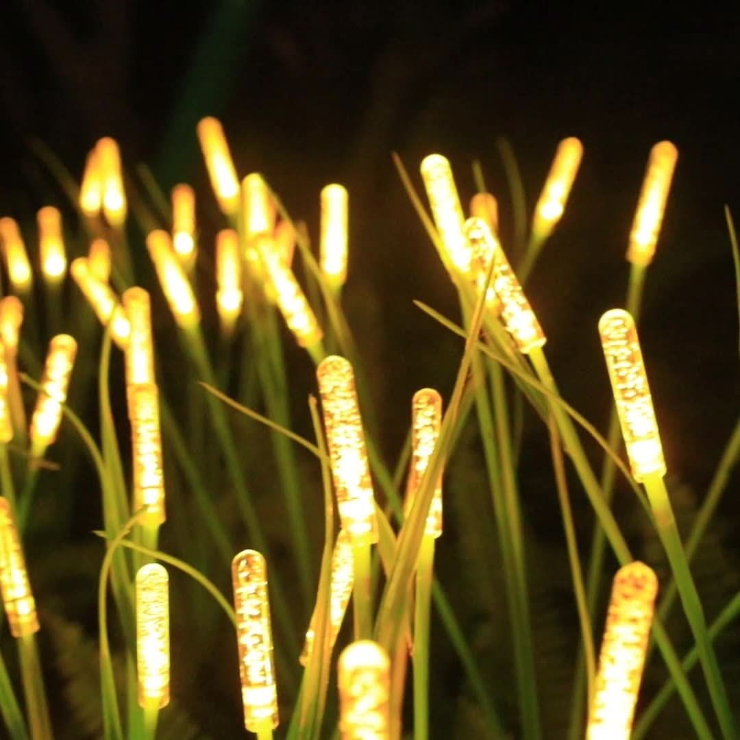 REEDLIVA – Luces solares de caña para decoración de jardines exteriores