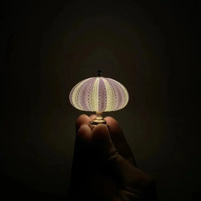 Sea Urchin Accent Night Light with Soft Ambient Glow for Bedroom Nightstand Living Room Coastal Decor Organic Shell Lamp
