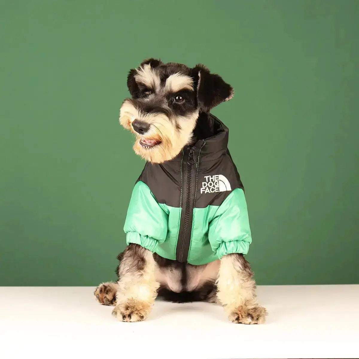 Insulated Windproof Dog Winter Coat with Soft Fleece Lining for Cold Weather Protection, Outdoor Walks & Active Play