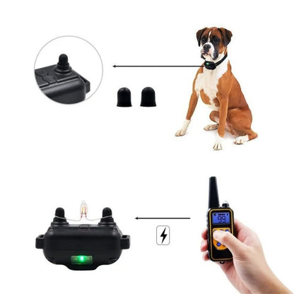 Training Collar for Hunting Dogs with Waterproof Design & Ergonomic Transmitter | Enhanced Control for Effective Training