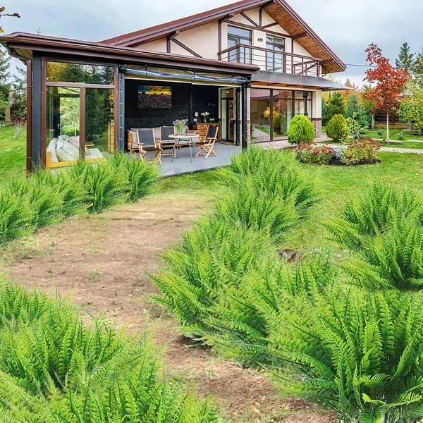 Artificial Boston Fern for Outdoor Use – UV-Resistant Patio Decoration
