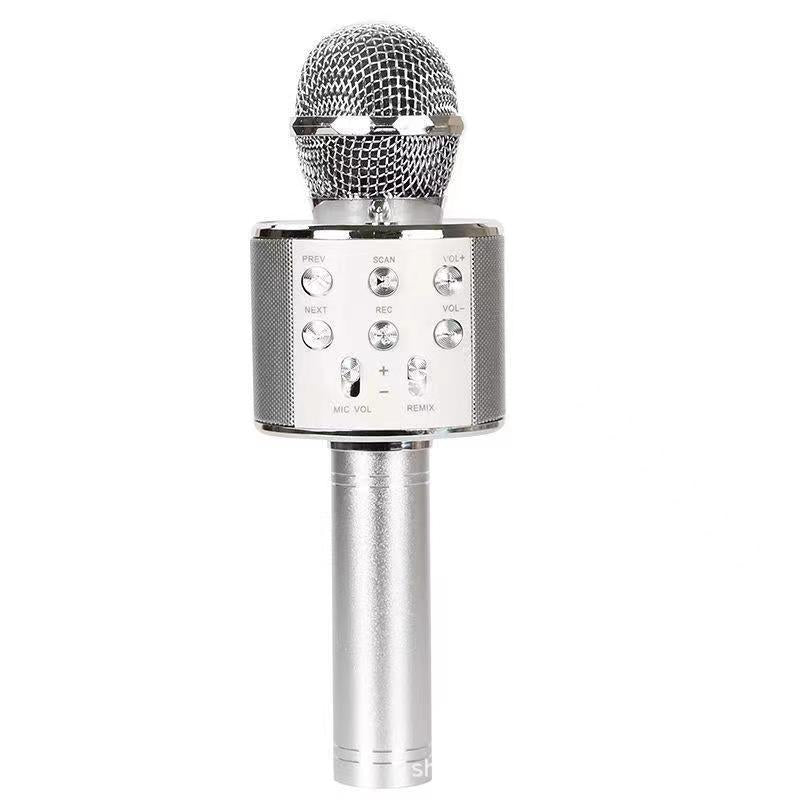 Ultimate Wireless Karaoke Microphone with Multi-Functionality for On-the-Go Singing