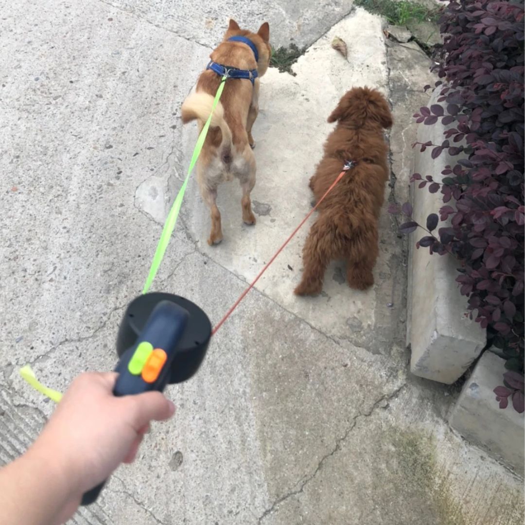 Correa retráctil doble para perros con linterna integrada y dispensador de bolsas para pasear a dos perros