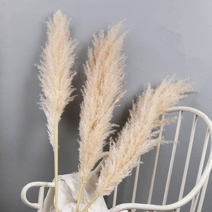 Tallos de hierba de las pampas natural y esponjosa para jarrones | Acentos florales secos de 16-30 pulgadas para decoración de estantes de sala de estar, centros de mesa para eventos, estilo boho