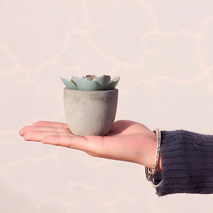 Verdea Artificial Succulent Plant - Realistic Faux Greenery, Rustic Pot