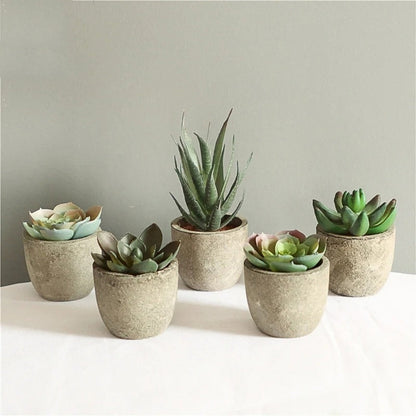 Verdea Artificial Succulent Plant - Realistic Faux Greenery, Rustic Pot