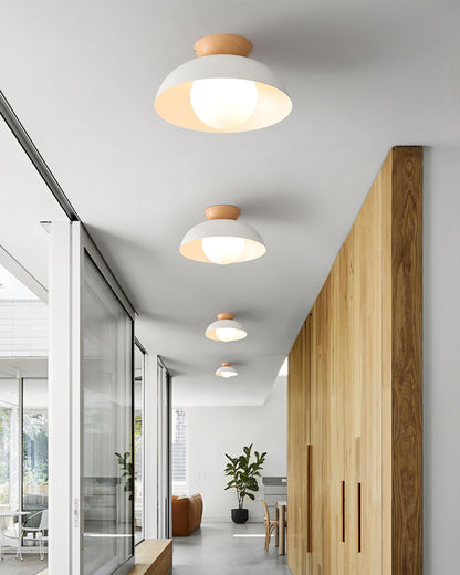 Glass Shade Ceiling Light Fixture 12 Inch Metal Overhead Lamp E26 Base for Kitchen Island Dining Room Modern Suspended Lighting White Black