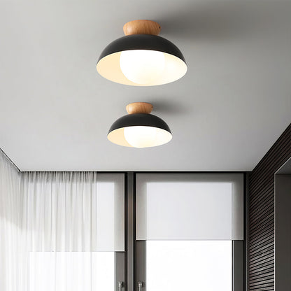 Glass Shade Ceiling Light Fixture 12 Inch Metal Overhead Lamp E26 Base for Kitchen Island Dining Room Modern Suspended Lighting White Black