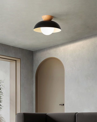 Glass Shade Ceiling Light Fixture 12 Inch Metal Overhead Lamp E26 Base for Kitchen Island Dining Room Modern Suspended Lighting White Black