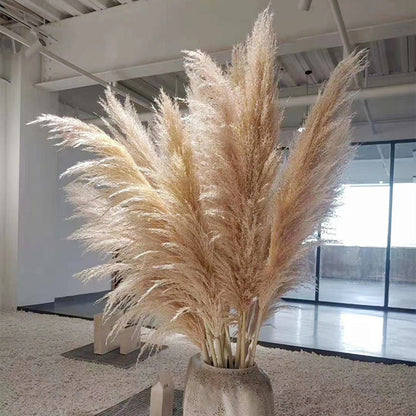 Tallos de hierba de las pampas natural y esponjosa para jarrones | Acentos florales secos de 16-30 pulgadas para decoración de estantes de sala de estar, centros de mesa para eventos, estilo boho