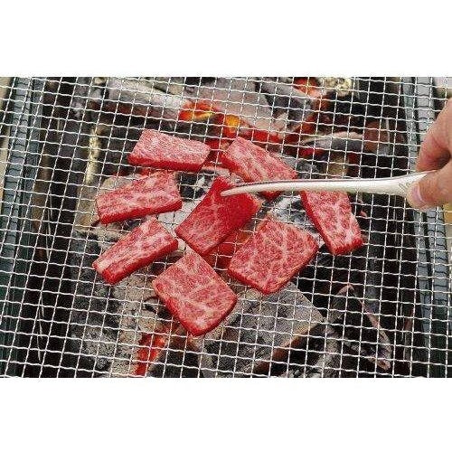 Stainless Steel BBQ Tongs 9.4 Inch Raised Tip Design for Korean Grill Tabletop Cooking Raw Meat Handling Kitchen Utensil