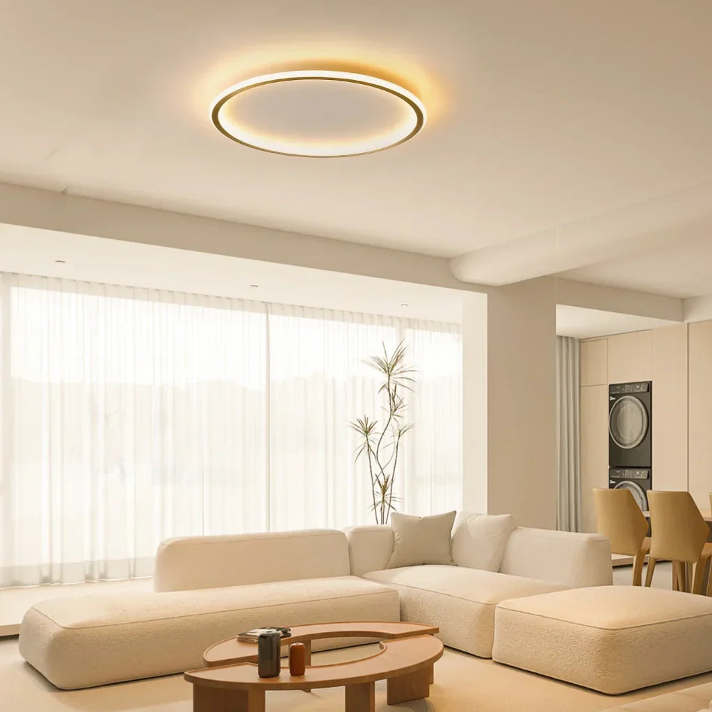 Round LED Flush Mount Ceiling Light 12in 16in 20in Metal Fixture Dimmable Color Temperature Living Room Bedroom Office Hallway