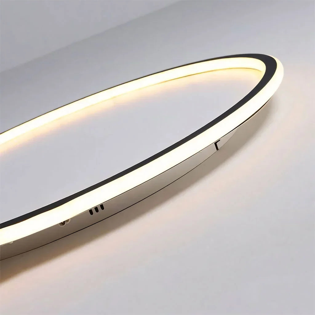 Round LED Flush Mount Ceiling Light 12in 16in 20in Metal Fixture Dimmable Color Temperature Living Room Bedroom Office Hallway