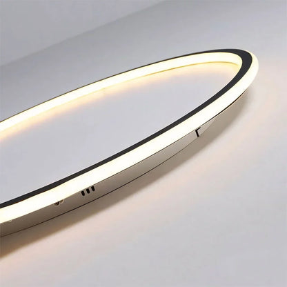 Round LED Flush Mount Ceiling Light 12in 16in 20in Metal Fixture Dimmable Color Temperature Living Room Bedroom Office Hallway