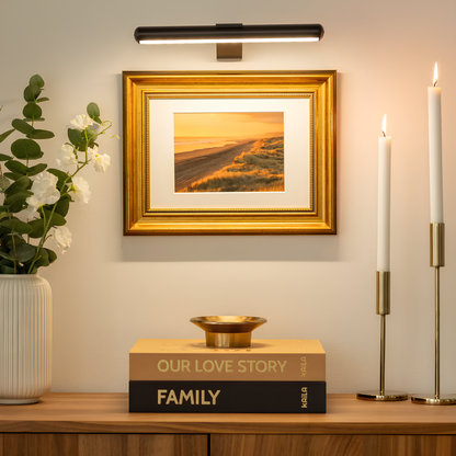Adjustable Metal LED Wall Sconce Wireless USB Battery Operated Swivel Arm Lamp for Framed Art Paintings Photos Stepless Dimmer Indoor Accent