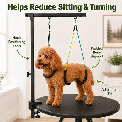 Ortekor Adjustable Dog Grooming Arm Kit for At-Home Grooming - Steadier Brushing, Trimming & Nail Care