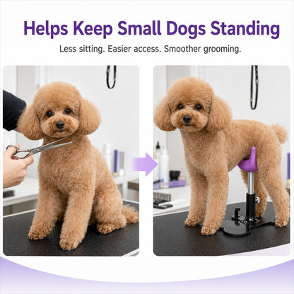 Ortekor Adjustable Dog Grooming Support Stand for Small Dogs – Helps Reduce Sitting During Trimming, Brushing & Drying