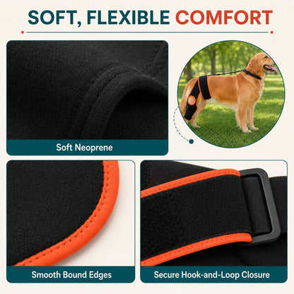 Ortekor Adjustable Dog Knee Brace with Collar Support Strap - Helps Reduce Slipping on Daily Walks