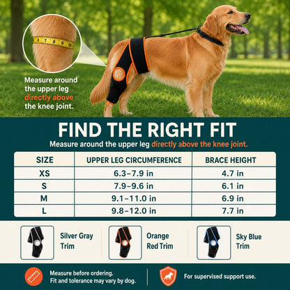 Ortekor Adjustable Dog Knee Brace with Collar Support Strap - Helps Reduce Slipping on Daily Walks