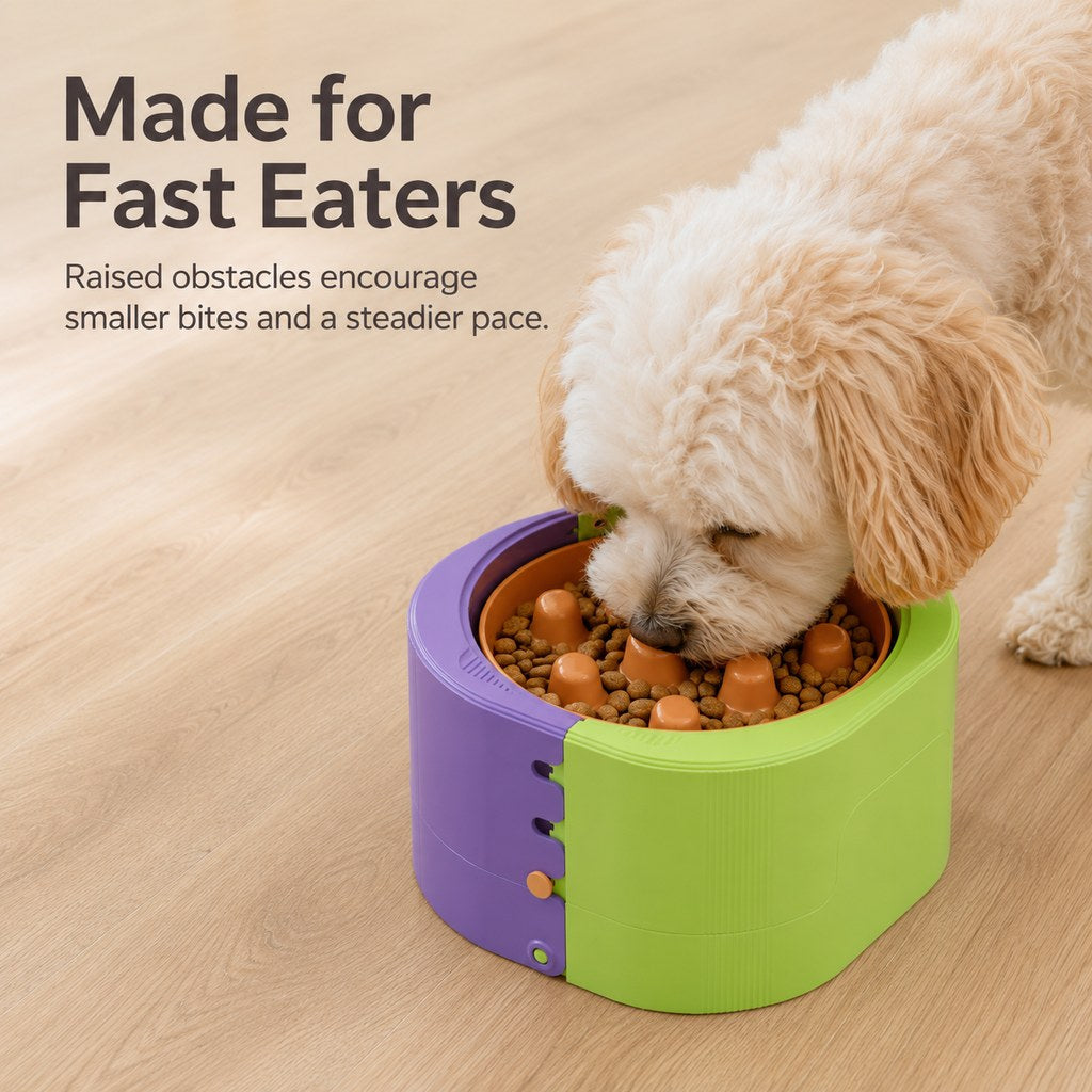 Ortekor 3-Level Adjustable Elevated Slow Feeder Bowl for Cats & Small Dogs - Stainless Steel Mealtime Bowl for Fast Eaters