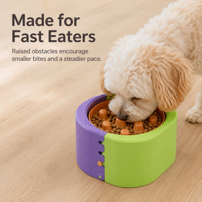 Ortekor 3-Level Adjustable Elevated Slow Feeder Bowl for Cats & Small Dogs - Stainless Steel Mealtime Bowl for Fast Eaters