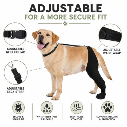 Ortekor Adjustable Dog Rear Leg Recovery Sleeve with Paw Cover - Helps Limit Licking During Post-Surgery Rest