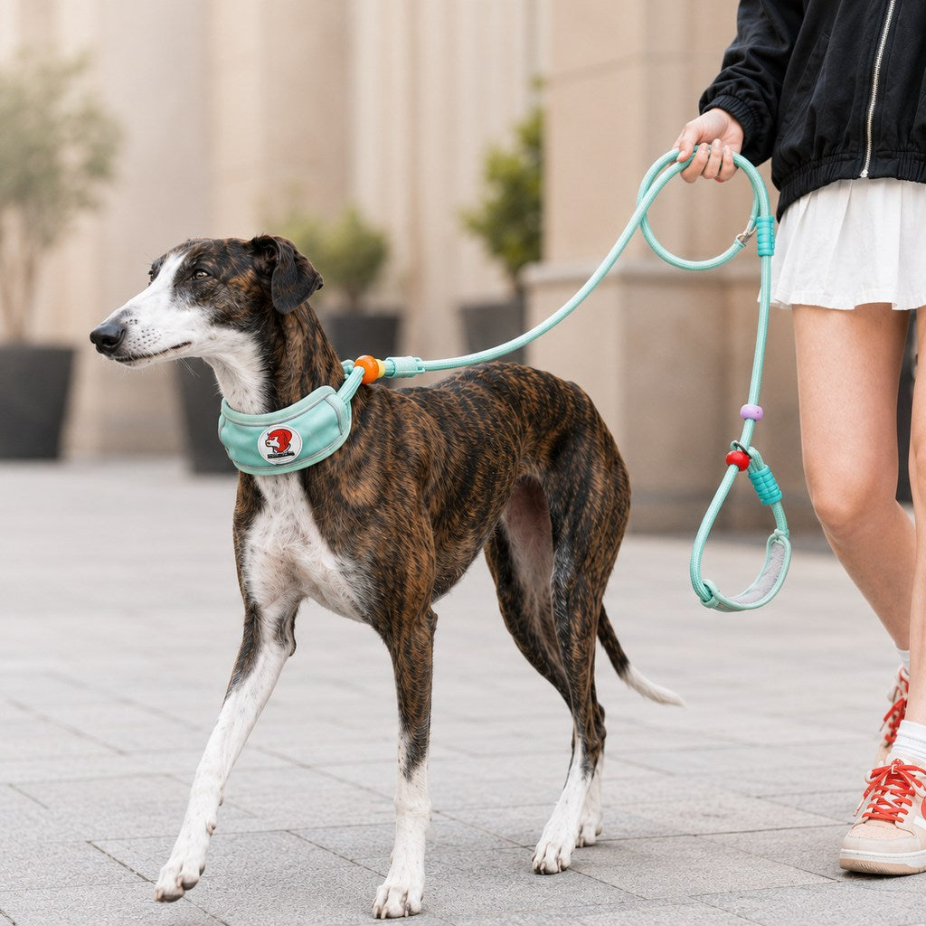Ortekor Anti-Choke Dog Leash for Everyday Walks - Padded Neck Protection & Better Control for Pullers