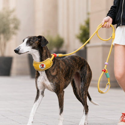Ortekor Anti-Choke Dog Leash for Everyday Walks - Padded Neck Protection & Better Control for Pullers