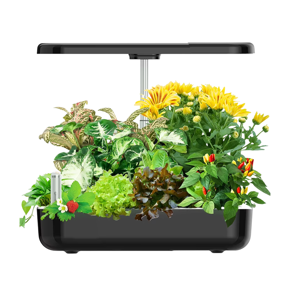 12-Pod Hydroponic Growing System with LED Grow Light for Kitchen Counter Herbs & Vegetables