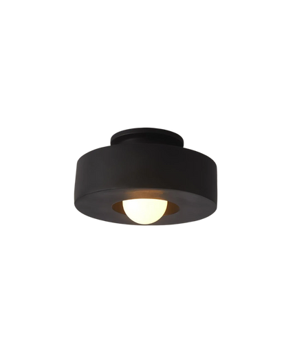 12-Inch Flush Mount LED Ceiling Light Fixture Resin Disc Contemporary Round Panel for Bedroom Hallway Living Room 3000K Warm Glow