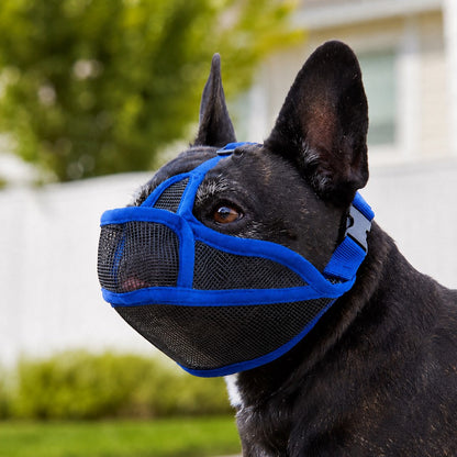 Ortekor French Bulldog Breathable Mesh Muzzle for Walks, Grooming & Scavenging Control - Drink-Friendly Short-Snout Dog Muzzle
