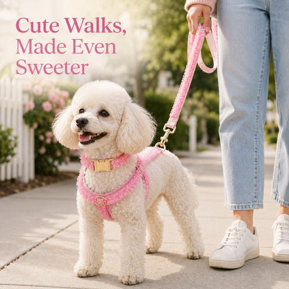 Ortekor Boutique Lace Dog Harness, Collar & Leash Set for Birthday Photos & Daily Walks - 3-Piece Ruffle Walking Set