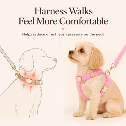 Ortekor Boutique Lace Dog Harness, Collar & Leash Set for Birthday Photos & Daily Walks - 3-Piece Ruffle Walking Set