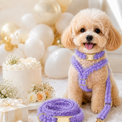 Ortekor Boutique Lace Dog Harness, Collar & Leash Set for Birthday Photos & Daily Walks - 3-Piece Ruffle Walking Set