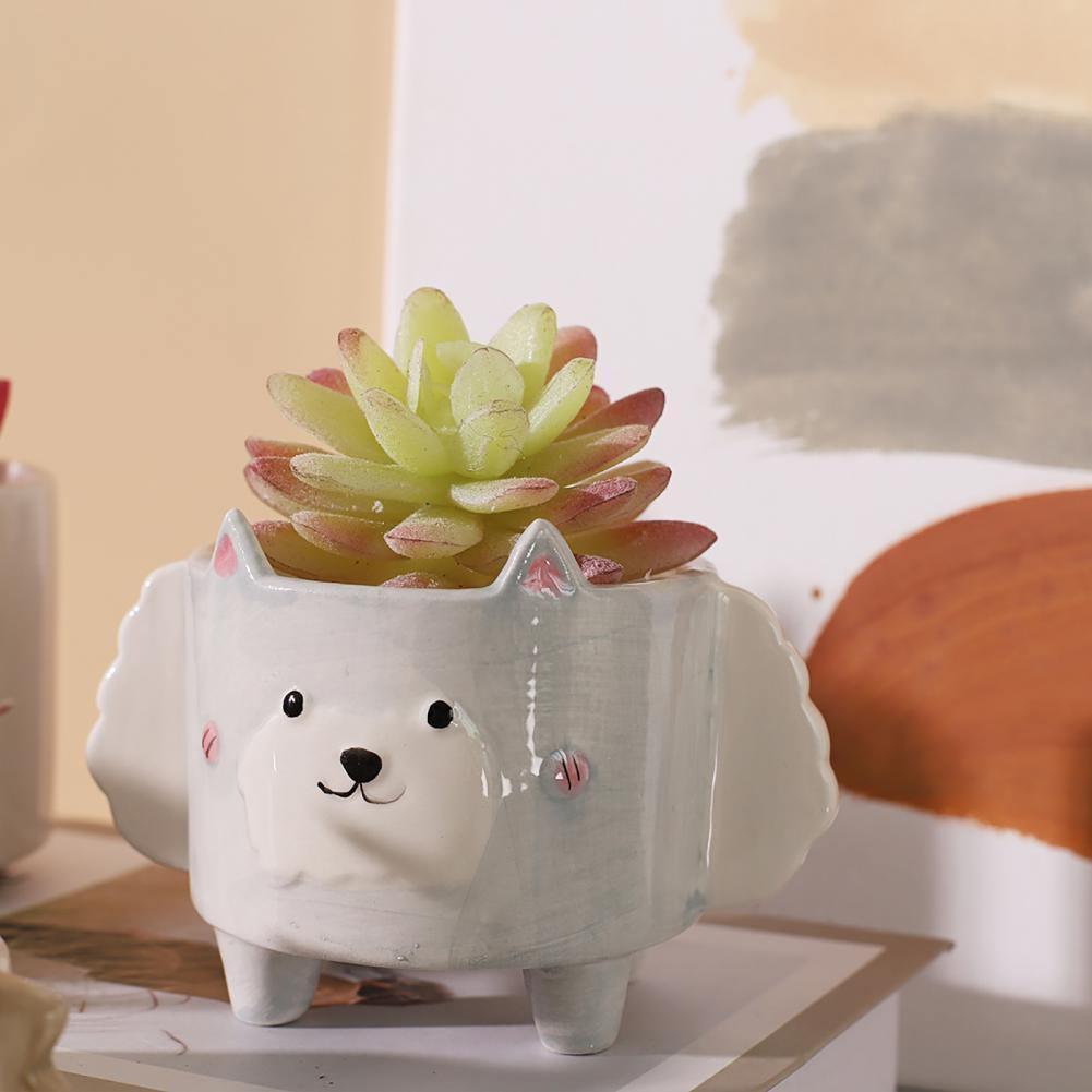 Square Animal Ceramic Succulent Planters