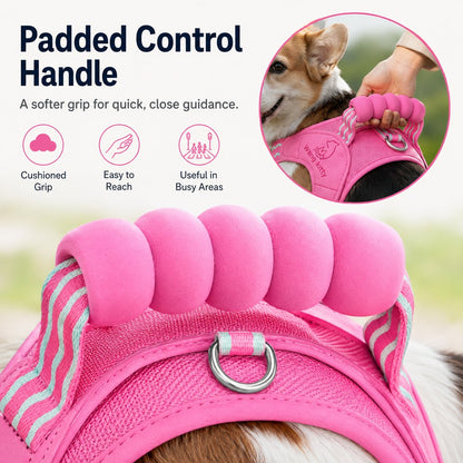 Ortekor Breathable Padded Dog Harness & Leash Set for Daily Walks - Easy-Control Vest for Small & Medium Dogs