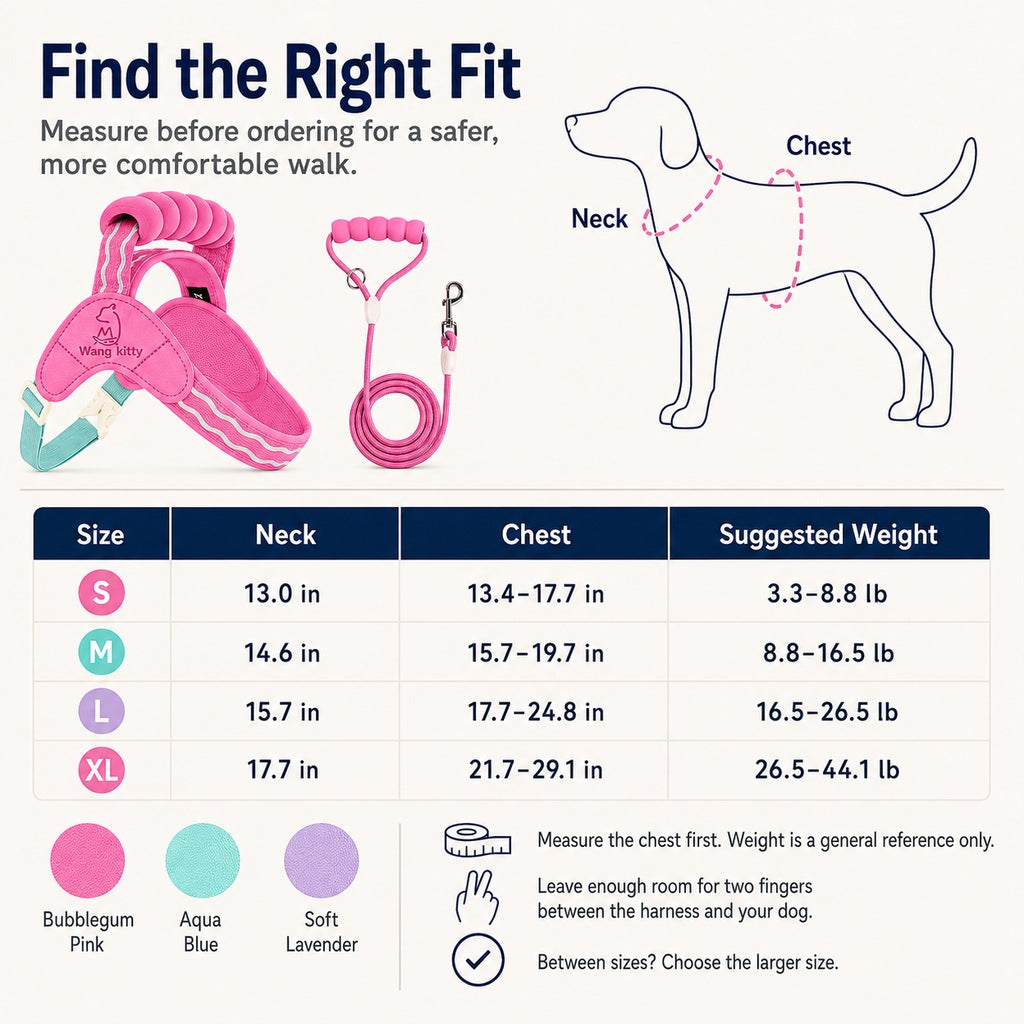 Ortekor Breathable Padded Dog Harness & Leash Set for Daily Walks - Easy-Control Vest for Small & Medium Dogs
