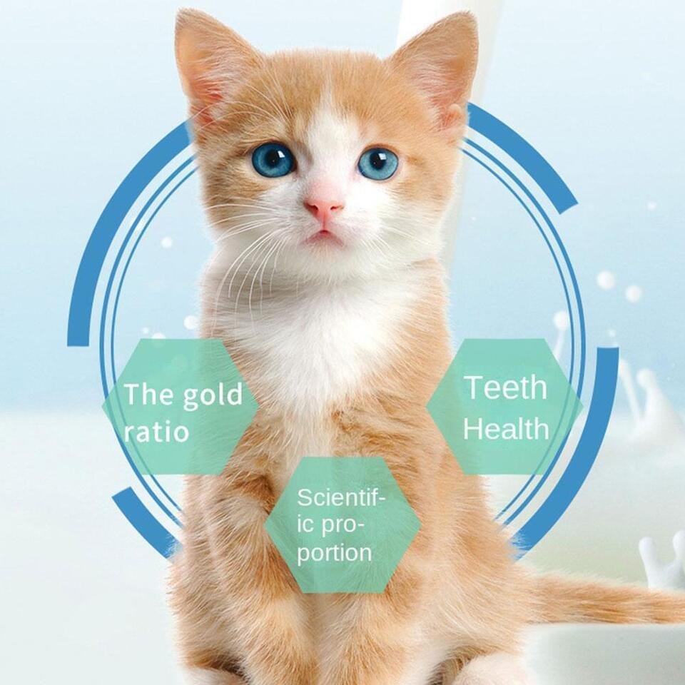 Natural Fiber Chew Sticks for Cats – Dental Health & Digestive Support, 6-Pack Set for Kittens & Adults