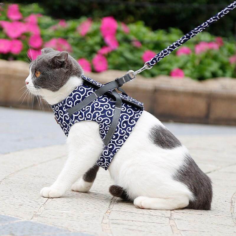 Reflective Cat Harness and Leash Set with Adjustable Vest for Safe Walking, Hiking & Training