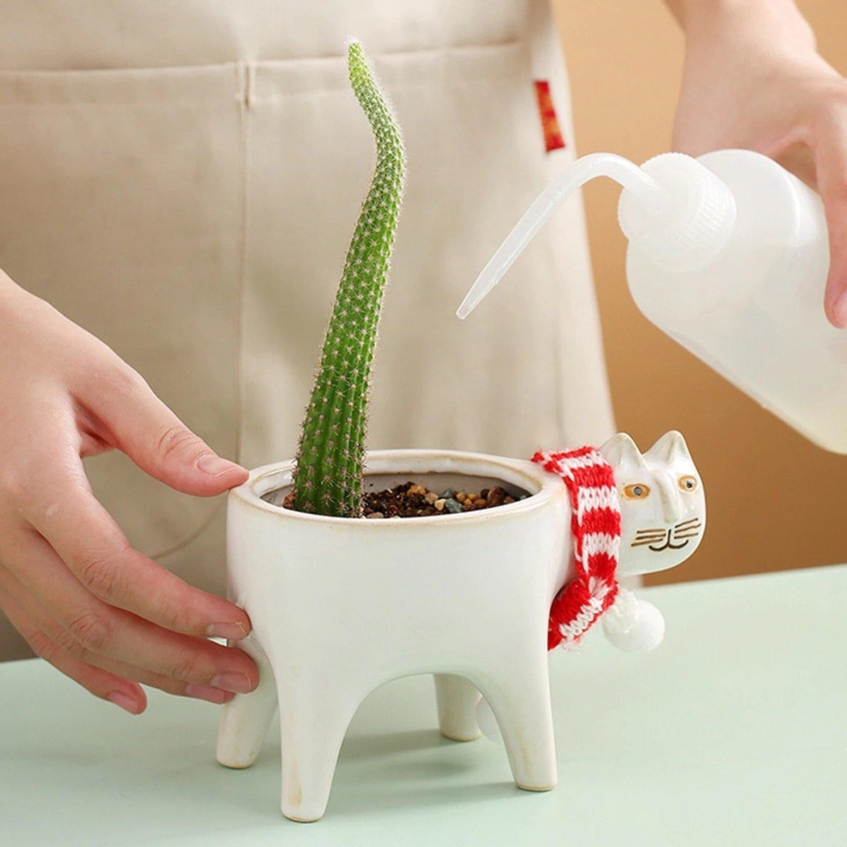 Purrfect Planter