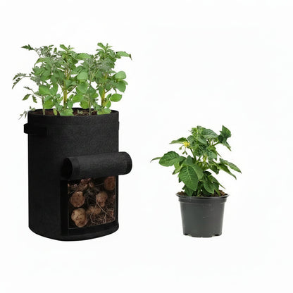 HARVESTROOT – Fabric Grow Bag Planter Set