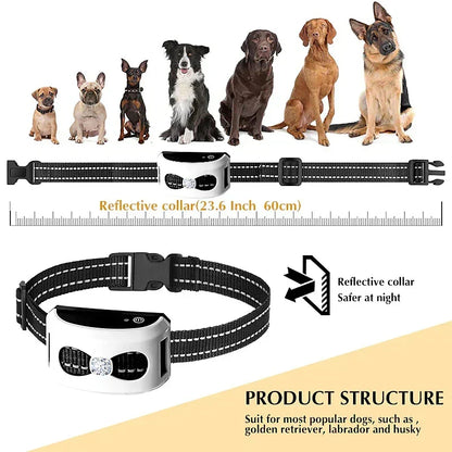 Wireless Dog Fence & Training Collar System with 300-Yard Range | Waterproof Rechargeable Pet Containment for Small Medium Large Dogs